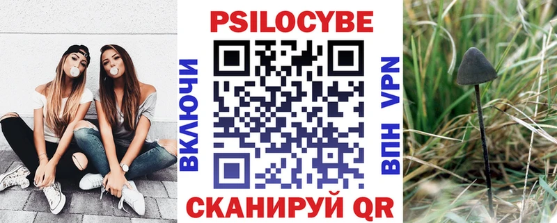 Купить где  Заинск  Галлюциногенные грибы Psilocybine cubensis 